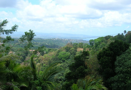 Martinique-Guadeloupe-Mai 2007